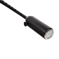 Bandspec Reed Protector PLUS